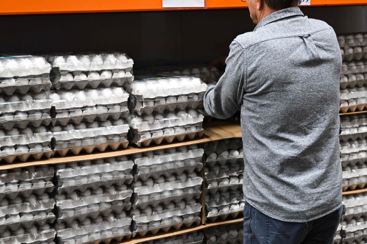 Cal-Maine vende más huevos que nunca y las existencias se están recuperando