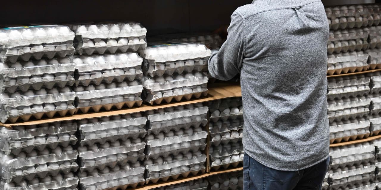 Cal-Maine Foods shares crack on diving egg prices, and other movers