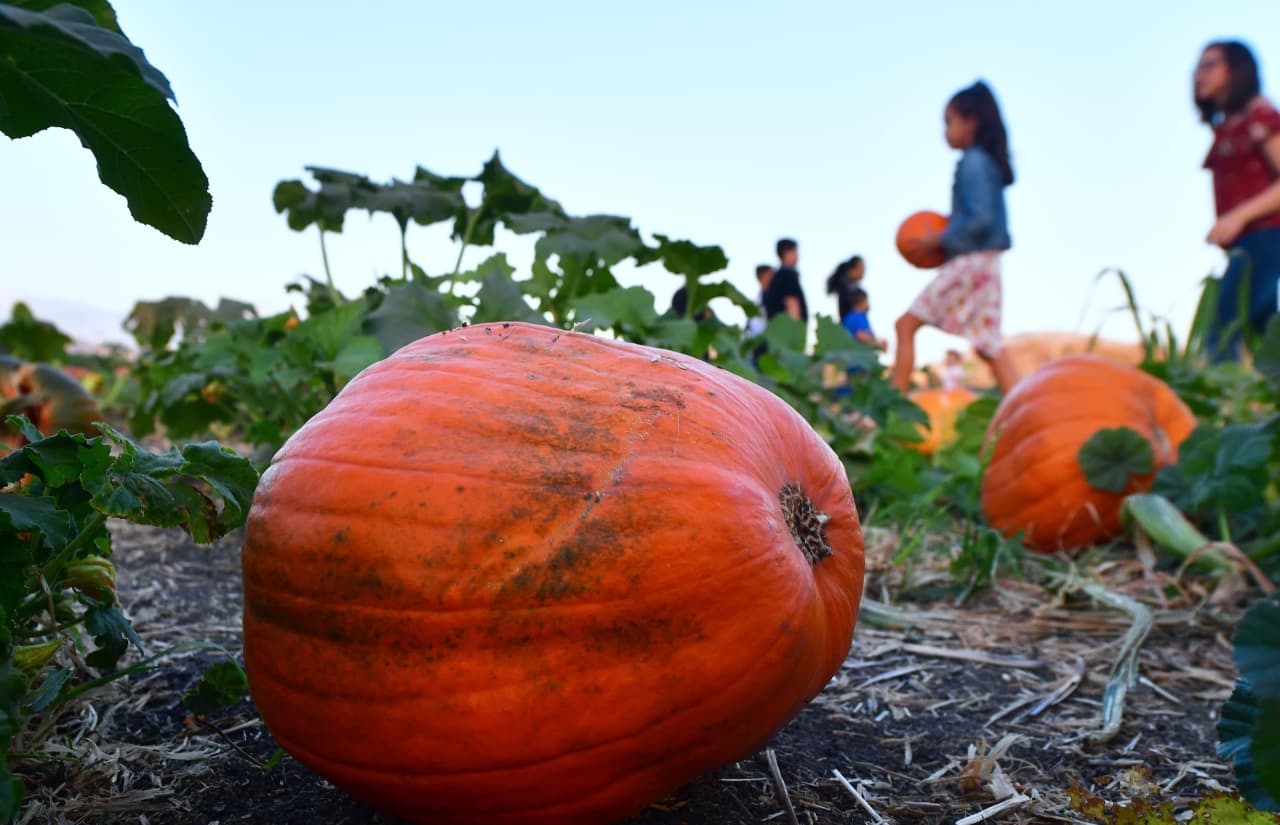 The U.S. stock market is open Monday for Columbus Day and