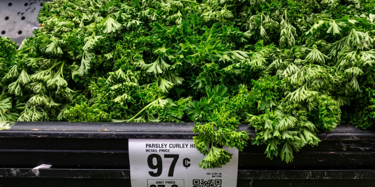 The cyclospora outbreak is the biggest ever. Why the ‘unusual’ outbreak is so hard to manage.