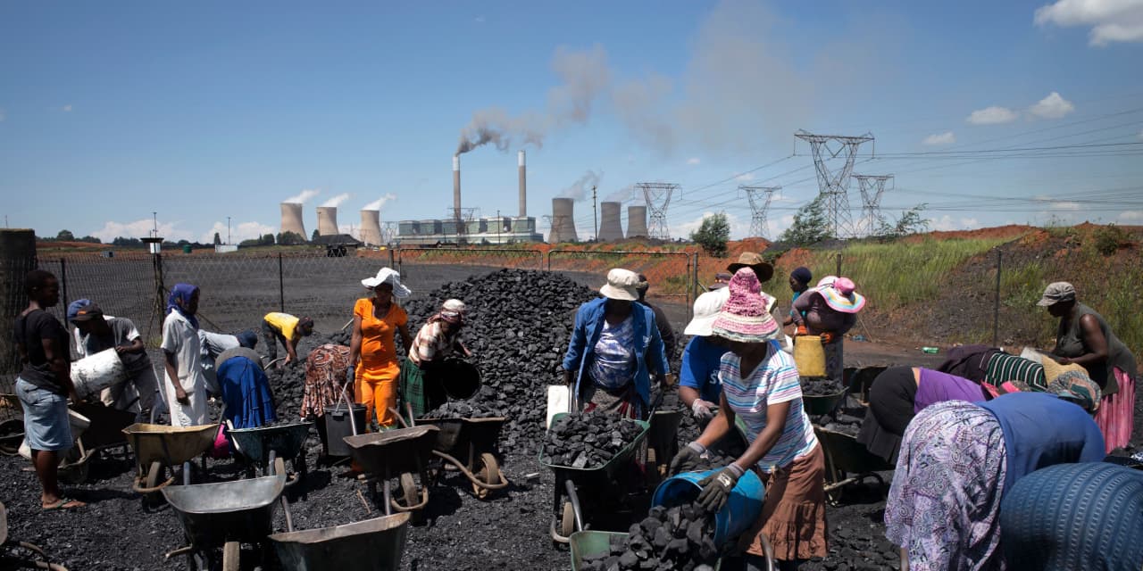 Who's delaying climate action? The advocacy groups creating market barriers. - Vimarsana News