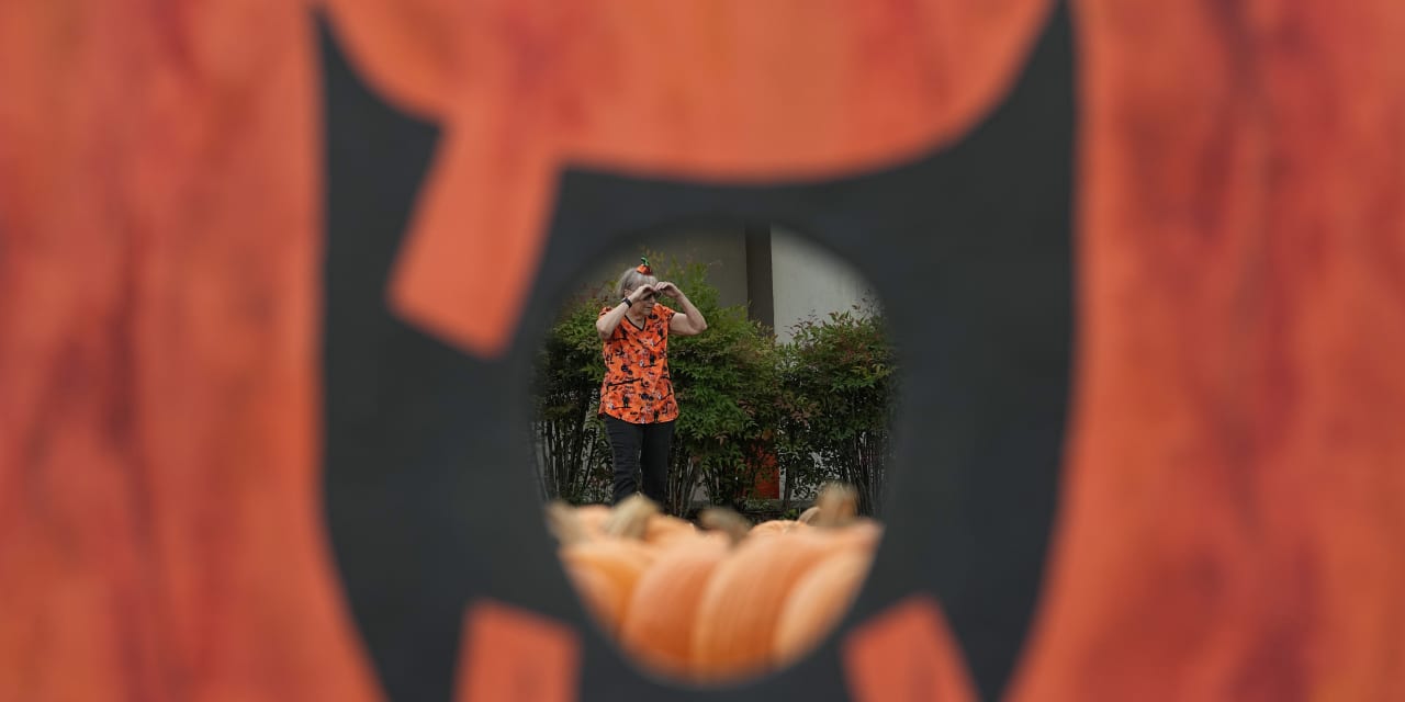 That Halloween pumpkin was probably affected by extreme weather - Vimarsana News