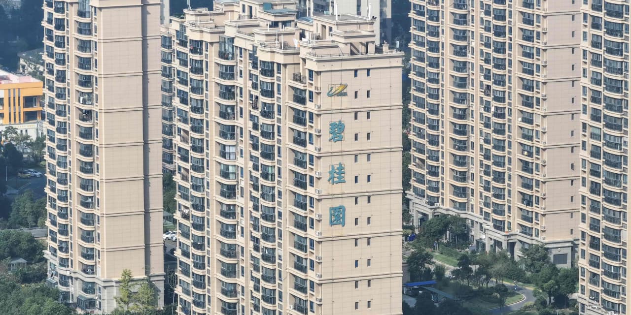 Country Garden shares rally on disputed report that Ping An was asked to buy it - Vimarsana News