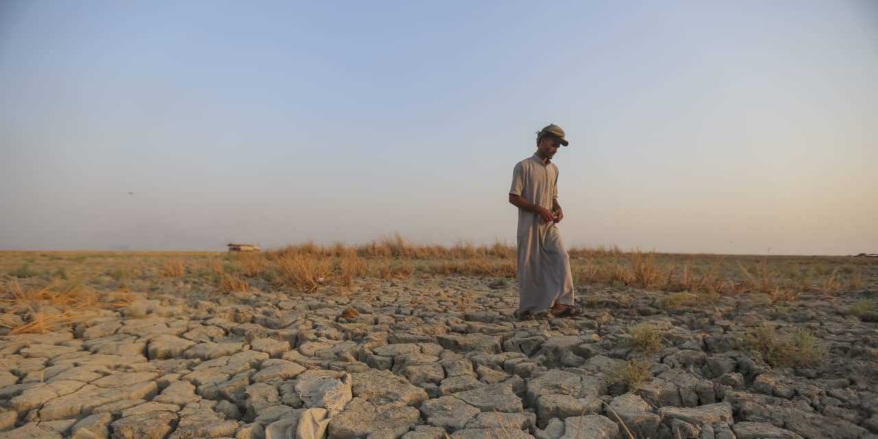 Syrian drought linked to climate change - Vimarsana News