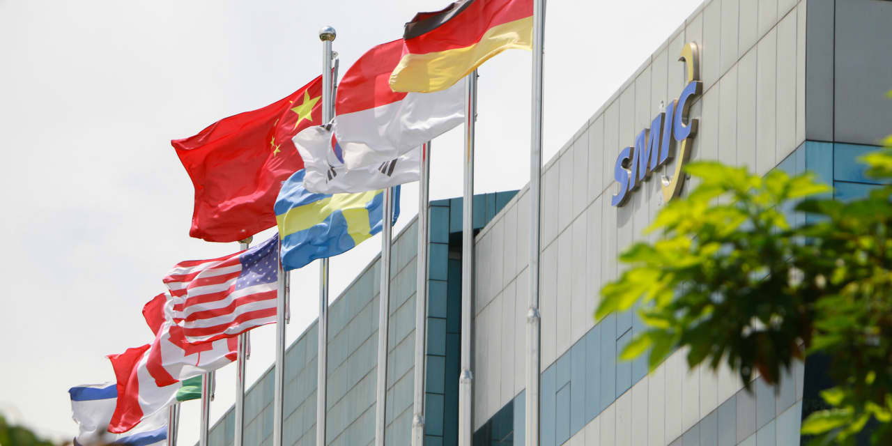 China's biggest chip maker reports near 80% profit drop, with exec warning of 'gray rhino effect' - Vimarsana News