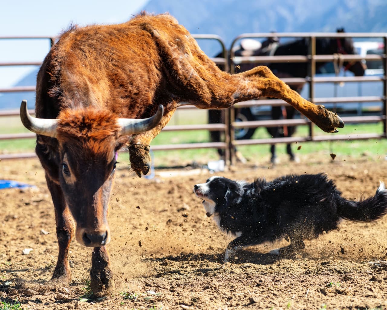 Advice from a ‘nervous and jumpy’ Wall Street bull as second half gets under way