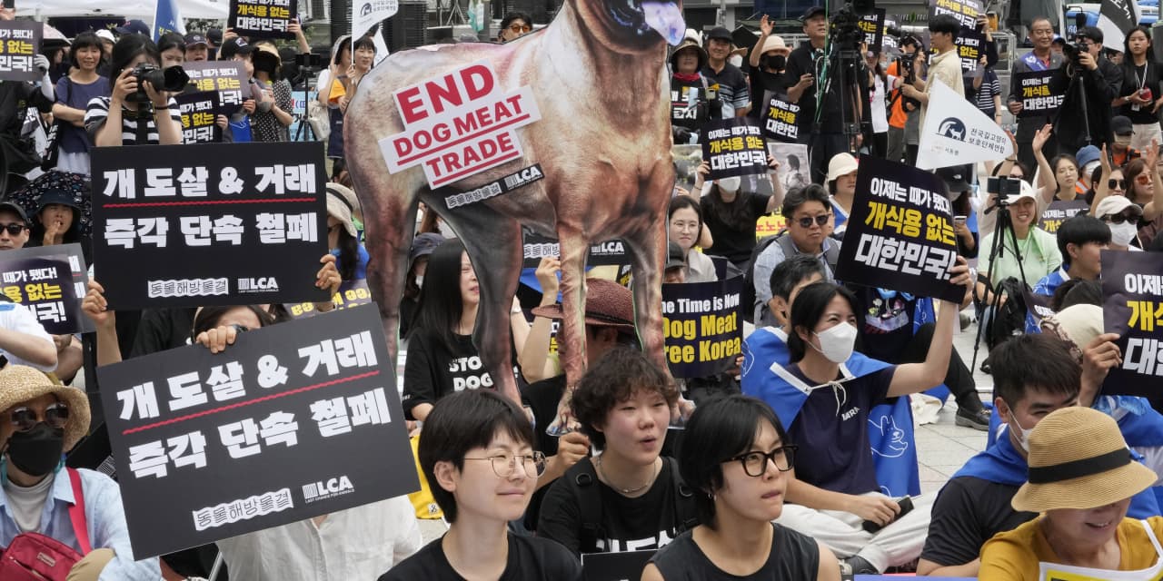 South Korea parliament endorses landmark legislation outlawing dog meat industry - Vimarsana News