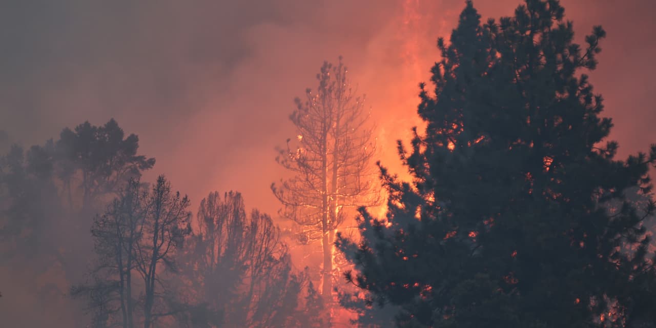 Retreat to the west? No thanks. Wildfires kill 10,000 elderly people prematurely each year.