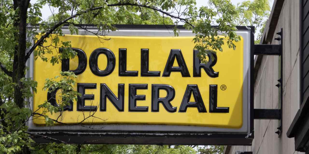 Dollar Generals stock soars as tariff pressures didnt hurt profits or outlook  MarketWatch