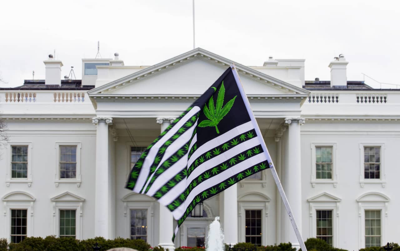 Cannabis stocks rise after President Biden mentions plant in State of the Union speech