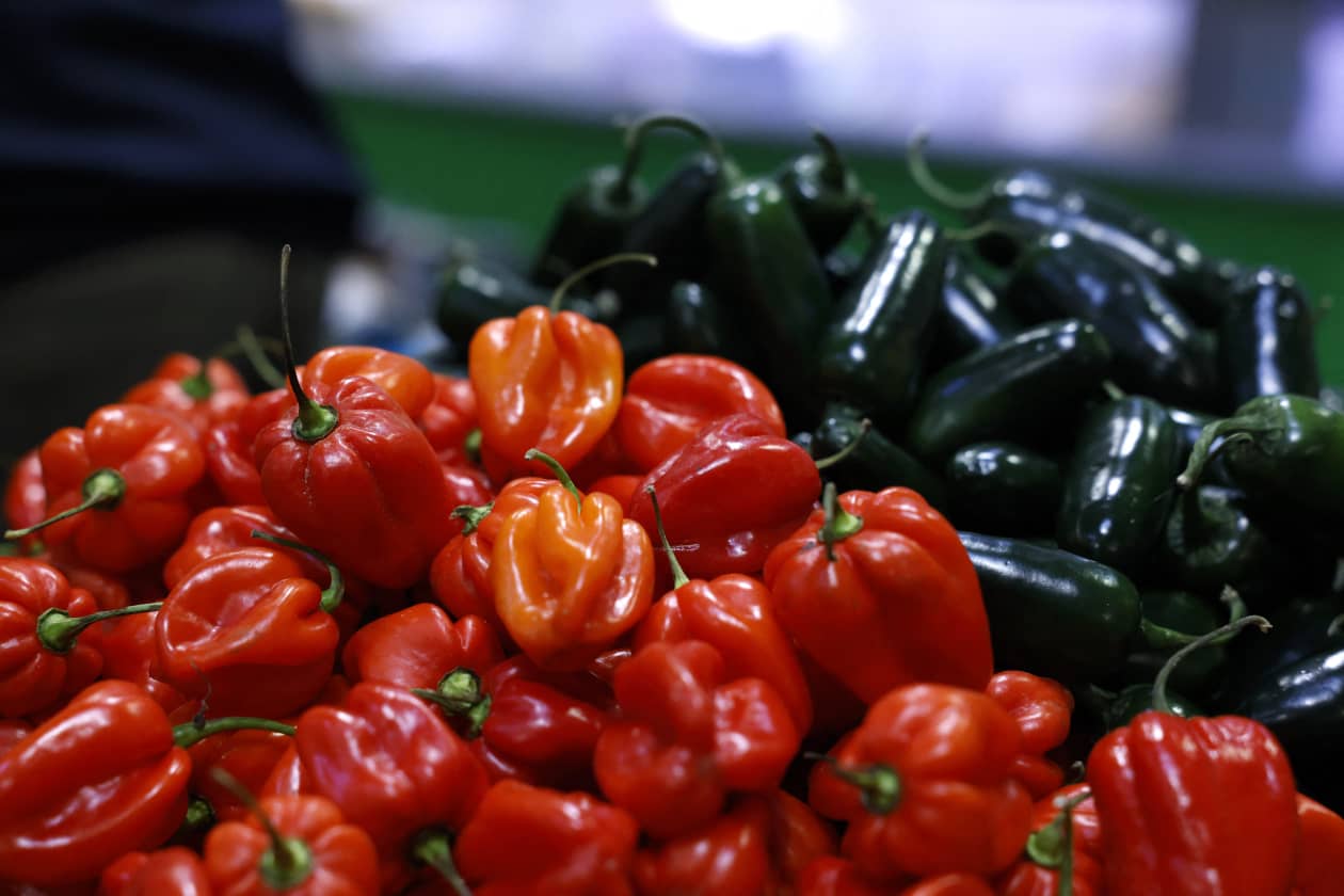 Wholesale prices rise sharply and point to persistent inflation ...