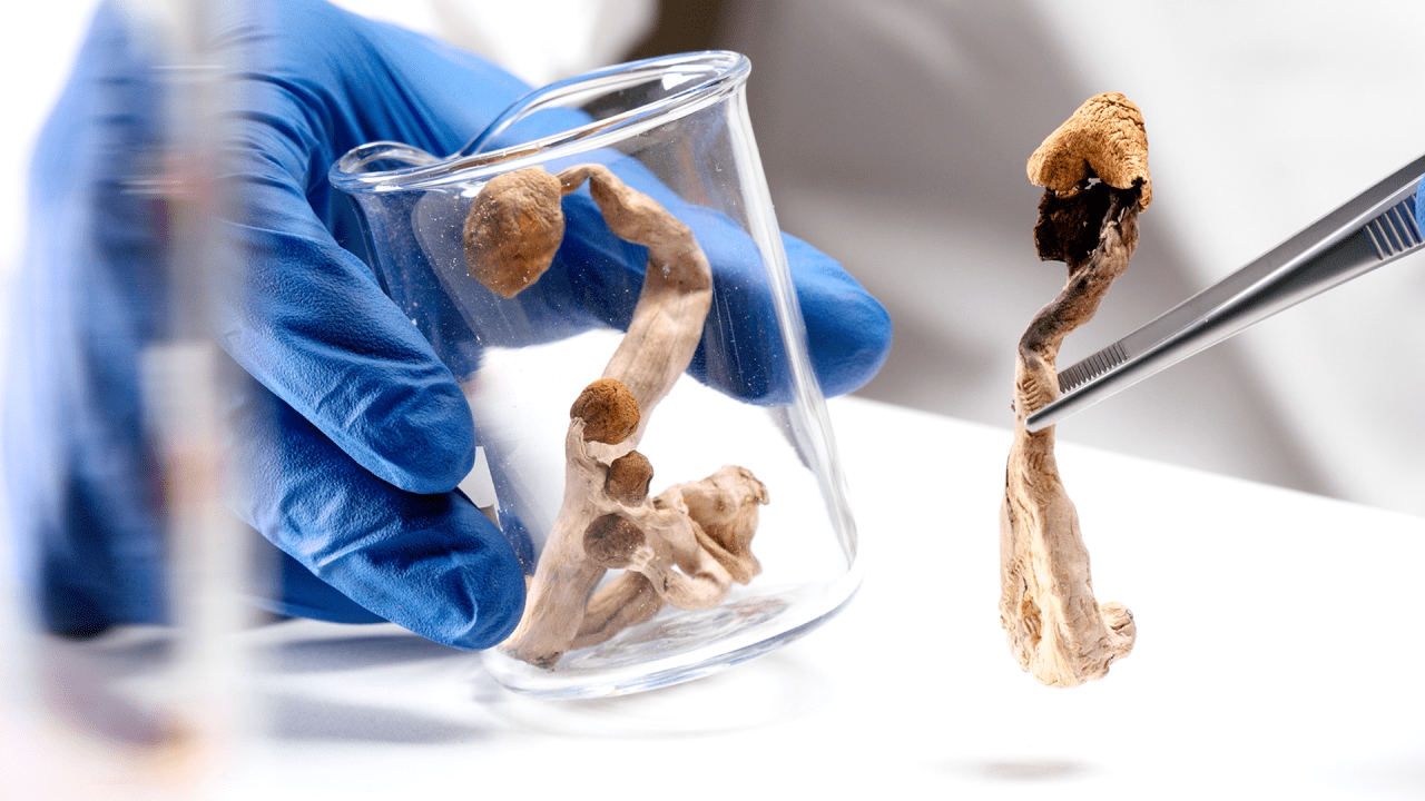 How psychedelics could stage a comeback on Wall Street - MarketWatch