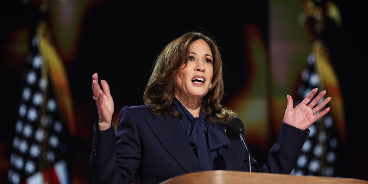 Kamala Harris vows to end US housing shortage in her ‘opportunity economy’