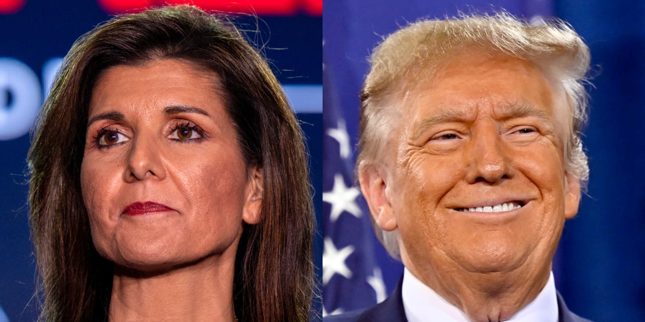 Haley: Donald Trump's 10% tariff would raise taxes 'on every single American' - Vimarsana News
