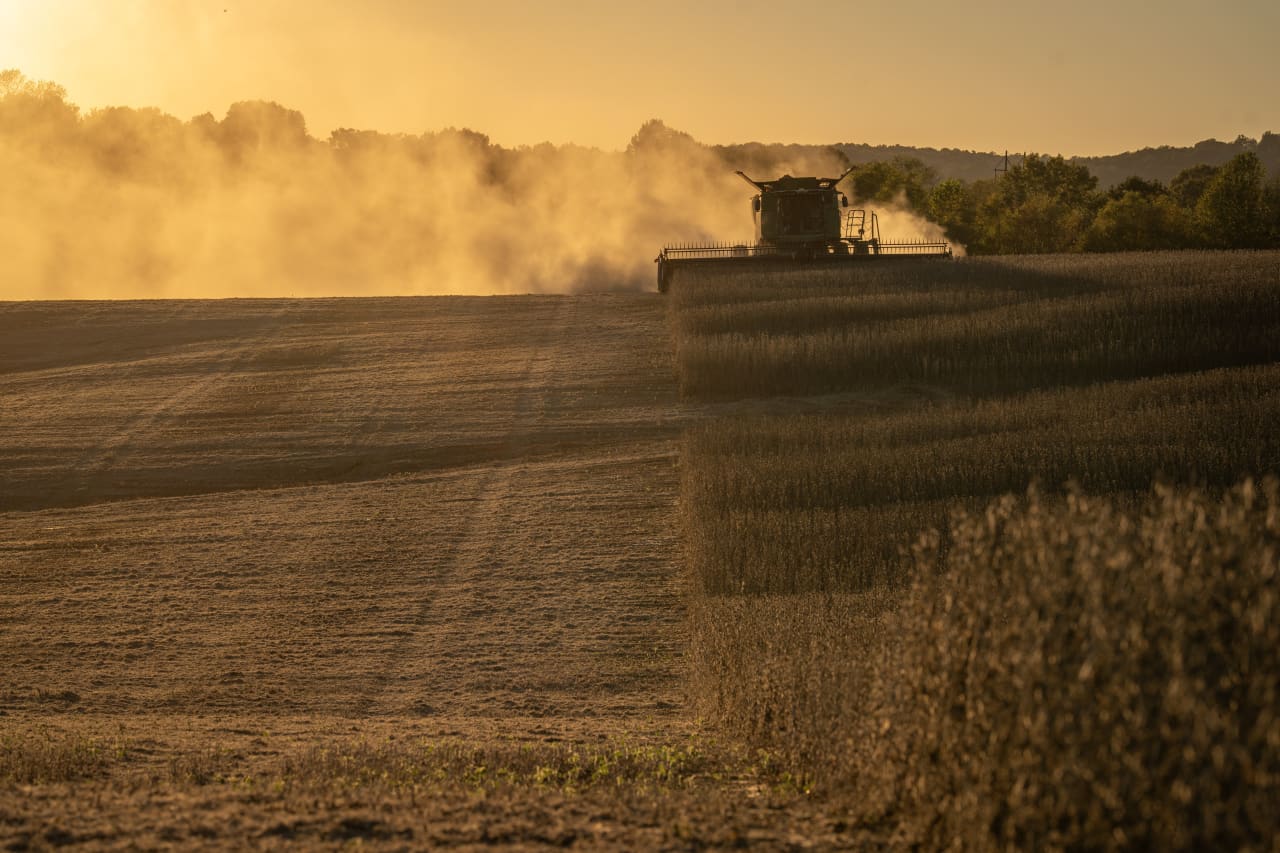 Energy and metals have been hot but a rally for agriculture commodities may now be getting under way, says technical analyst