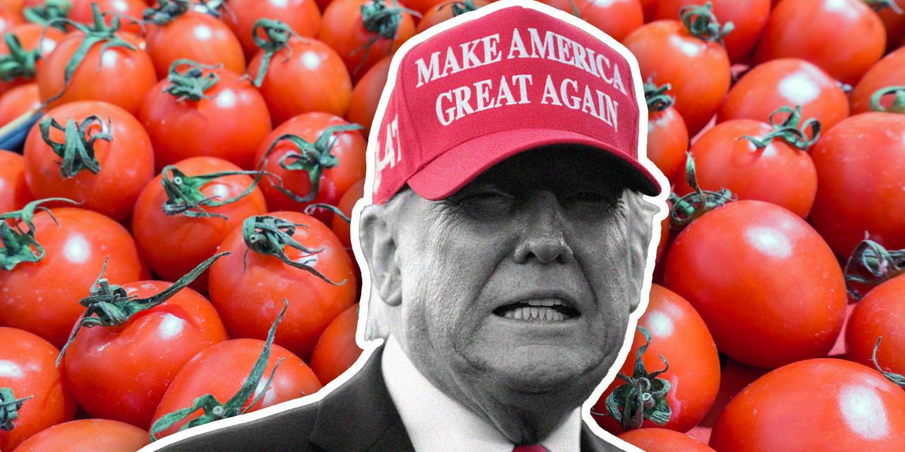 Revenge of the killer tomato tariffs