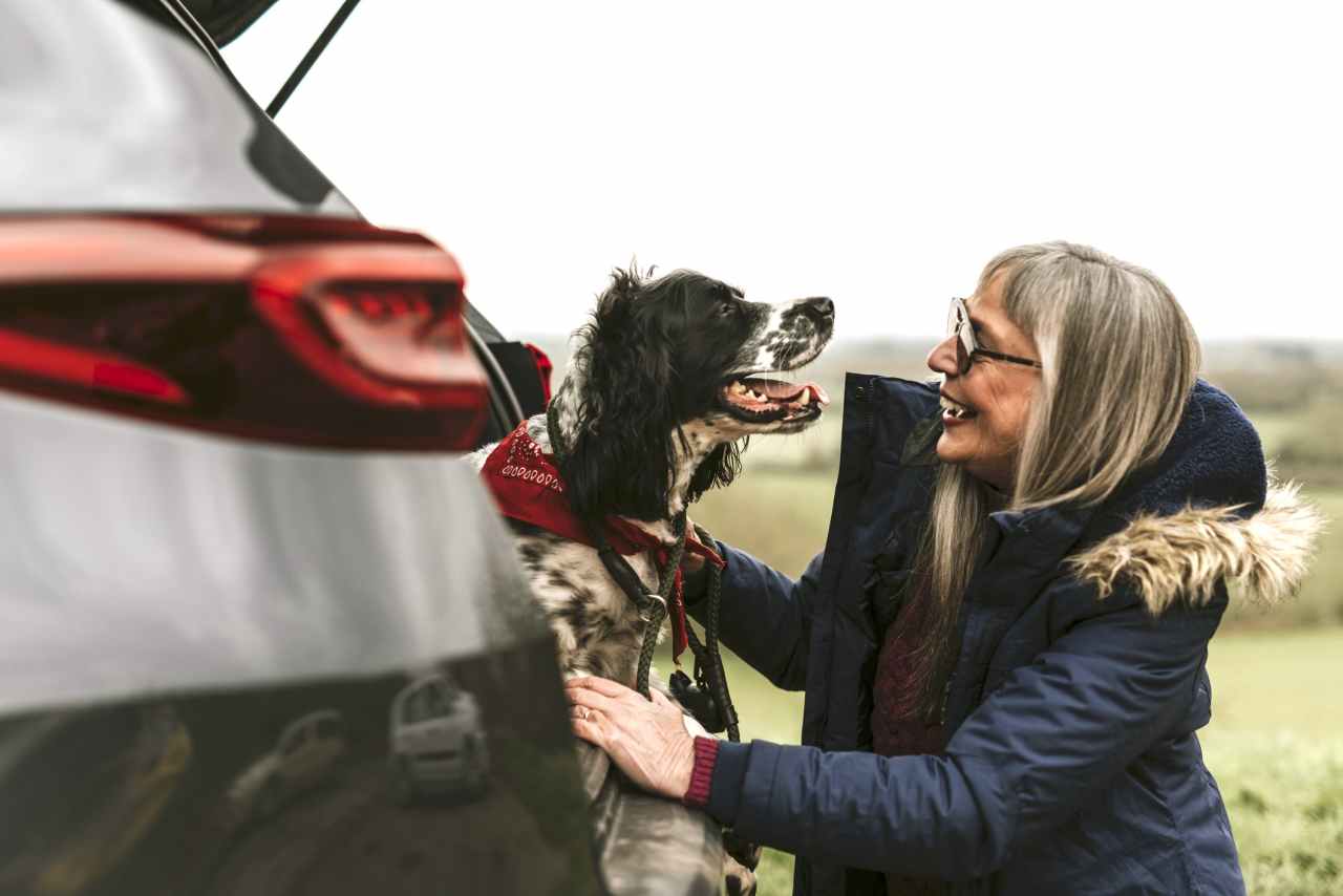 Save money, save gas: 10 hybrids to buy used for under $20,000 - MarketWatch