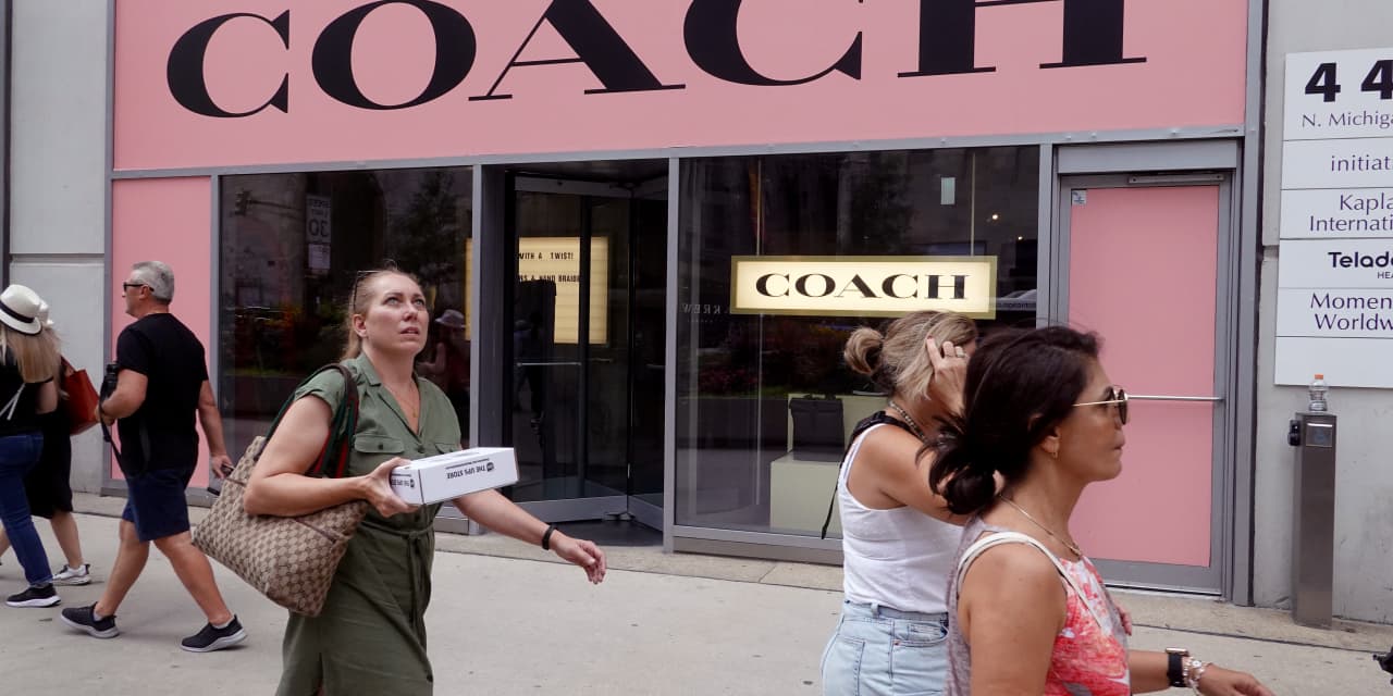 Tapestry's stock surges toward a 6-month high as strong Coach sales lead to earnings beat, raised profit outlook - Vimarsana News